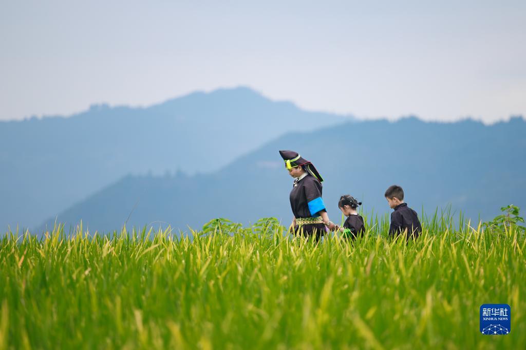 790游戏微信客服上下分